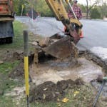 Pa140284 150x150 Pa140284 150x150