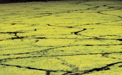 I Stock 000009842931 Large E1426775677115 I Stock 000009842931 Large E1426775677115