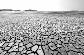 I Stock 46043582 Odyphoto E1426776094776