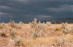 We1505 46 1 We1505 46 1