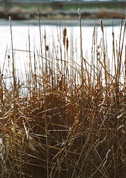 We1505 46 2 We1505 46 2