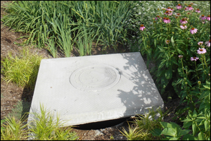 Bmpinspection Session5 300x2001