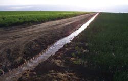 1290002 1402ww 1290002 1402ww