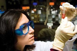 493 1308ww 493 1308ww