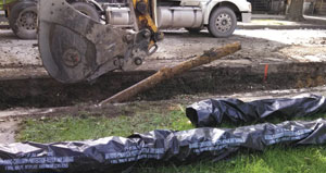 Aa Thread 1399813 10151700755772215 1893066333 O