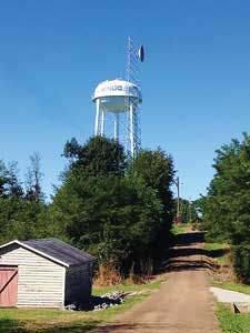 Ace Badger Wingo Photo 1 1405ww Ace Badger Wingo Photo 1 1405ww