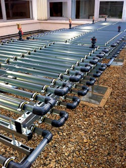 Algae Horizontal Algae Horizontal