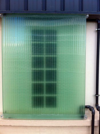 Algae Panel