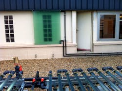 Algae Vertical 1 Algae Vertical 1