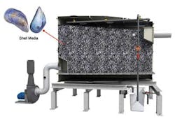 Anua Monashell 1212ww Anua Monashell 1212ww