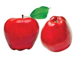Apples 1306ww