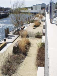 Arcadis Newtown Creek Nature Walk 1309ww Arcadis Newtown Creek Nature Walk 1309ww