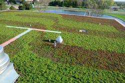 Badger Meter Green Roof Completed Badger Meter Green Roof Completed