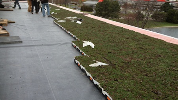 Badger Meter Green Roof Installation2