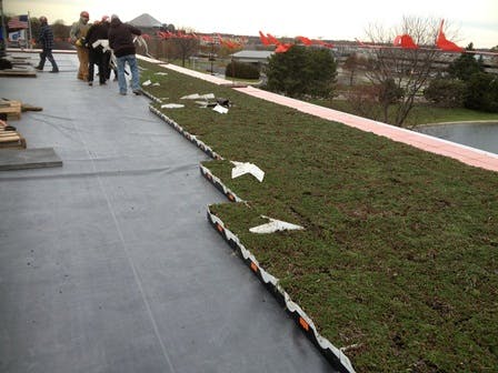 Badger Meter Green Roof Installation2