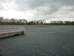 Balls Covering Lake Balls Covering Lake