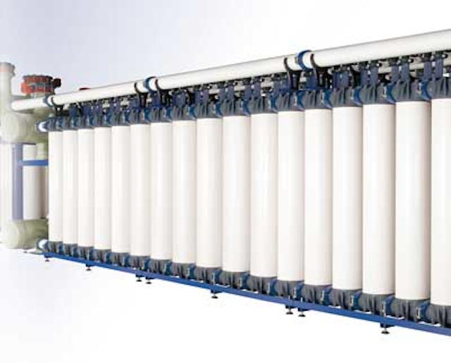Basf 1309ww
