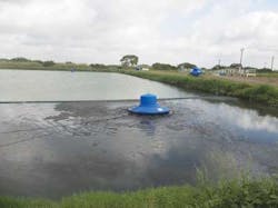 Biosolids F3 1402ww Biosolids F3 1402ww