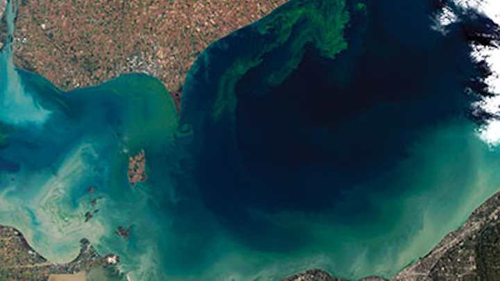 Blooms Lakeerie Tm5 2011278 Lrg Nasa