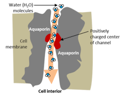 Bluetech 2 Bluetech 2