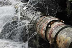 Coll Distribution Coll Distribution