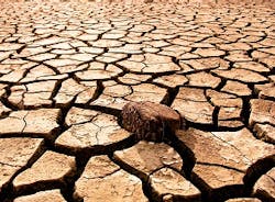 Content Dam Ww Online Articles 2015 December Drought Content Dam Ww Online Articles 2015 December Drought