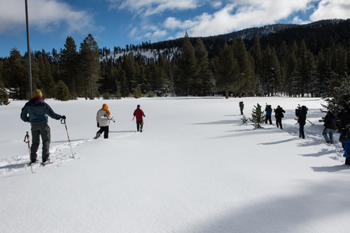 Staff with DWR head into a meadow near Phillips Station to conduct a manual snow survey off Highway 50 on Dec. 30. DWR photo.