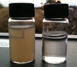 Content Dam Ww Print Articles 2014 09 Haloklear