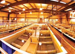 Cs Westech B Cs Westech B