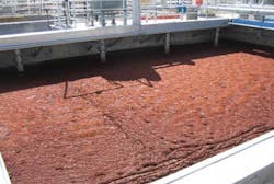 Daf Aqua 1308ww Daf Aqua 1308ww