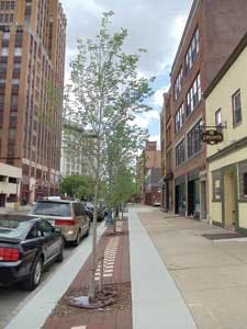 Downtownstreetscape 1211ww Downtownstreetscape 1211ww