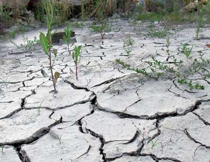 Drought