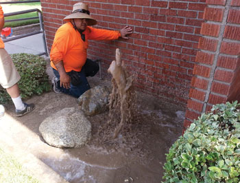 Energy 2 Doe Photo Retrofit Irriation