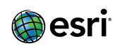 Esri 10globelogo Srgb Esri 10globelogo Srgb