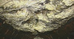 Fatberg Fatberg
