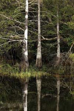 Florida Pollution 1301ww Florida Pollution 1301ww