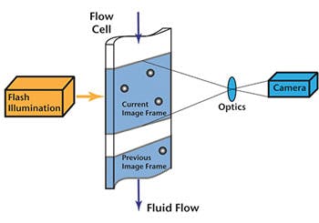Fluid How The Flowcam Works