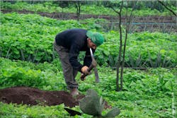 Fog Catcher 3 Fog Catcher 3