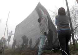 Fog Catcher 5 Fog Catcher 5