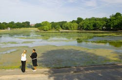 Green Inf 1 Excess Nutrients Usepa Green Inf 1 Excess Nutrients Usepa