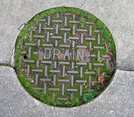 Green Infrastructure 06