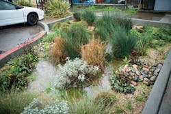 Green Infrastructure 1 Sfpuc 20140207f 17 Green Infrastructure 1 Sfpuc 20140207f 17