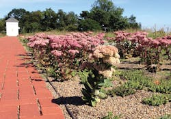 Green Infrastructure 6 Dcwater Fort Reno Reservoir Green Roof 2014 Green Infrastructure 6 Dcwater Fort Reno Reservoir Green Roof 2014