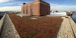 Green Roof Green Roof