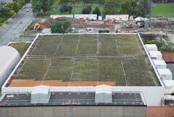 Green Roof 1304ww Green Roof 1304ww