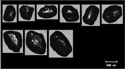 Grit Management 3a 1406ww Grit Management 3a 1406ww