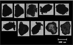 Grit Management 3b 1406ww Grit Management 3b 1406ww