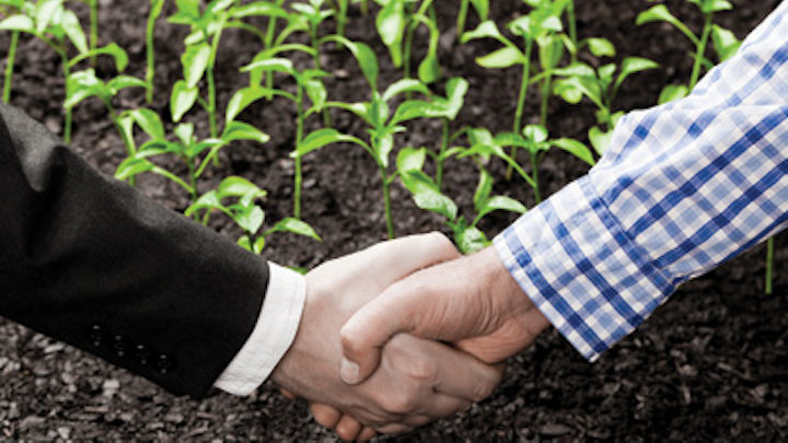 Hand Shake
