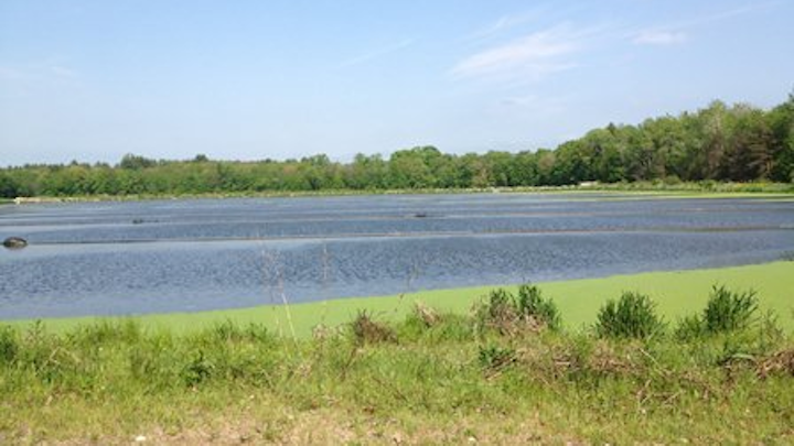 Img 4573 2