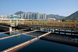 Istock 000015509993 Plant Y Istock 000015509993 Plant Y